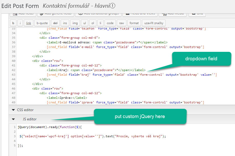 Custom Javascript metabox in Toolset Form